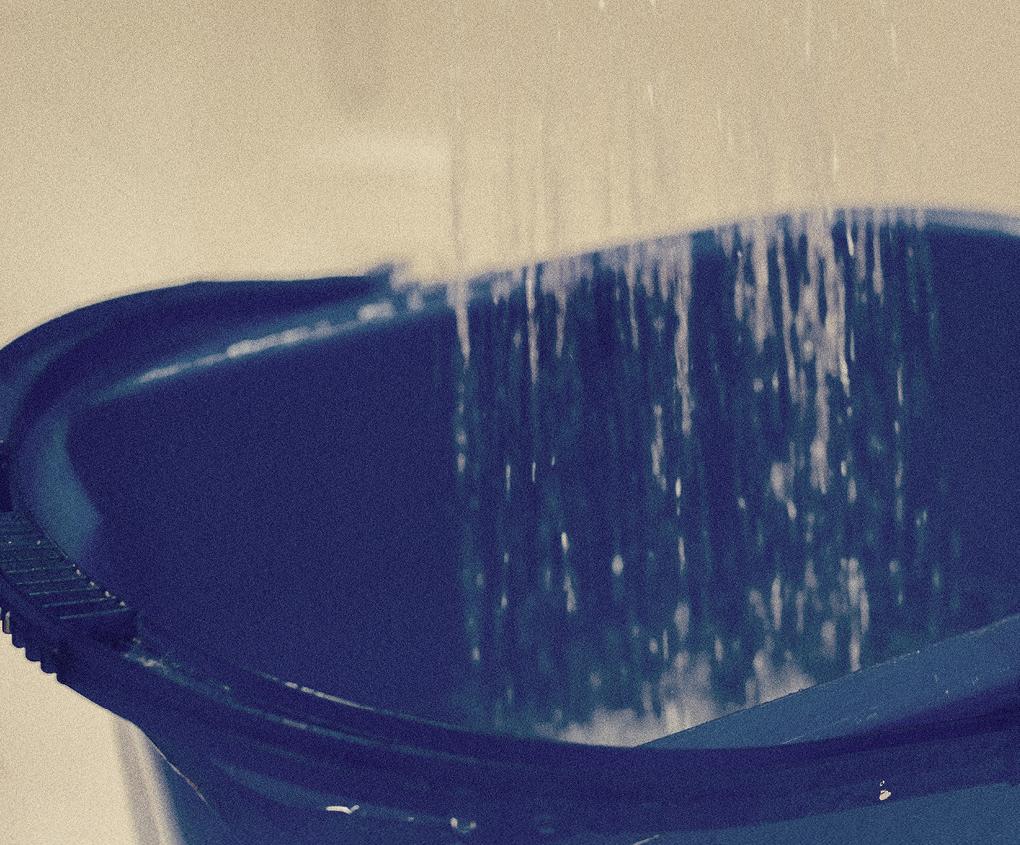 Collect warming-up water from the shower in a bucket for the garden.