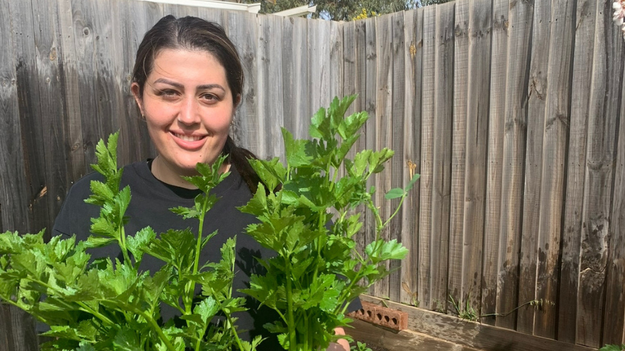 Image for Lockdown hobby turns hairdresser into vegetable harvester.